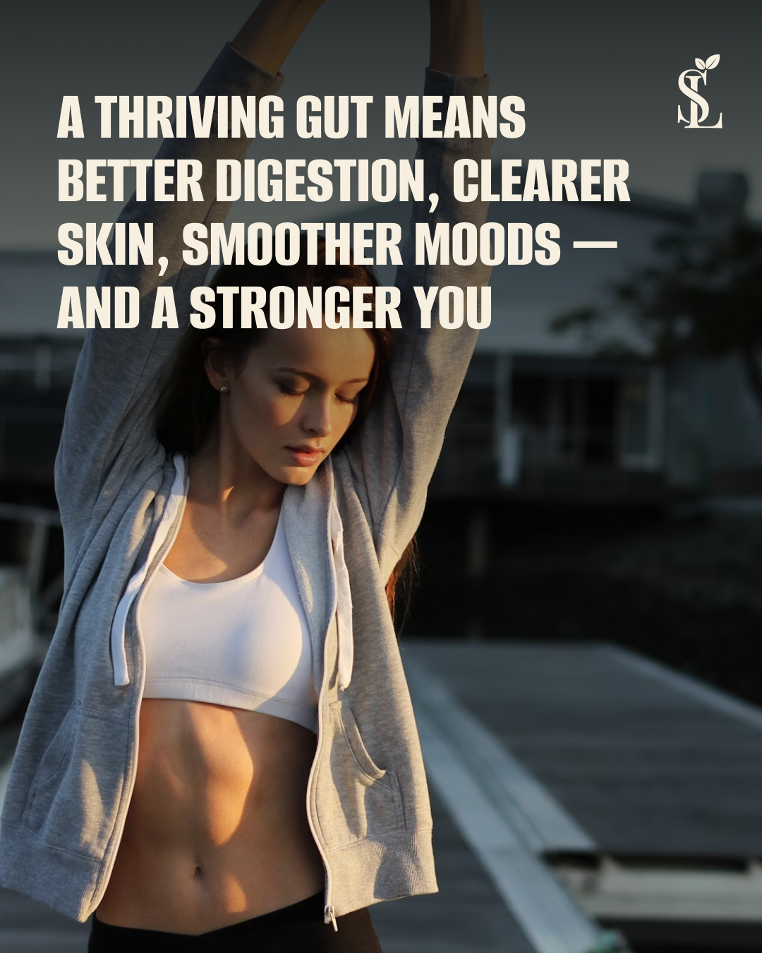 Why Do We Need Fibre?